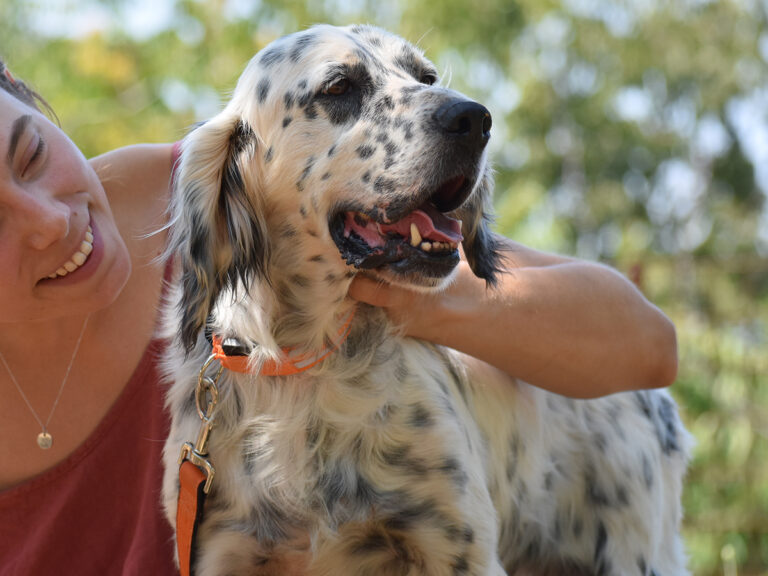 Pako