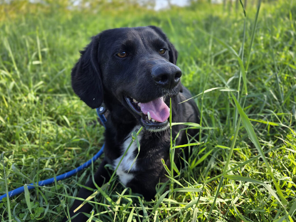 Ellie